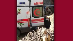 Teslimiyeti reddetti