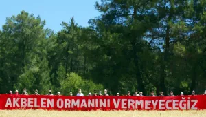 Memleket yanarken