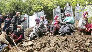 Ormana, börtü böceğe her şeye düşman