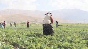 Yaz sıcağında güvencesiz 12 saat