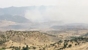 Botan’da kıyım-işgal-rant çarkı