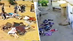 Hepsini burada göz göre göre öldürdüler
