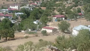 Depremi fırsata çevirdiler!