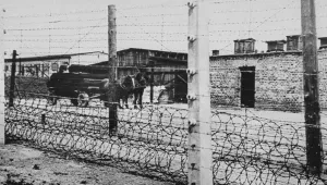 Alçaklığın evrensel tarihinden bir sayfa