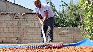    Para yerine takas