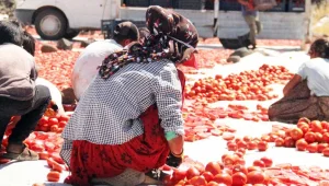 Ne çiftçi memnun ne de işçi