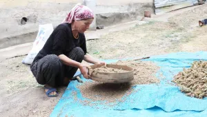 Şimdi sumak zamanı