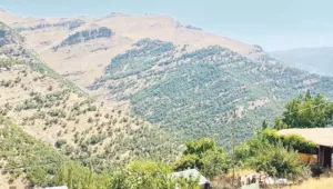Bilbês 46 gündür yasak
