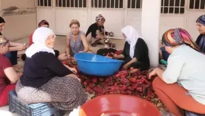 Kolektif kış hazırlığı