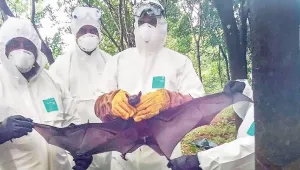Hindistan’da 3. Nipah salgını