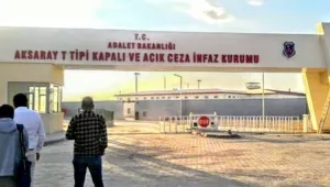 Psikolog değil, pislik!