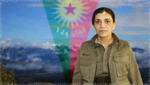 Öncülük rolünü oynadı