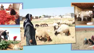 Rojava'da kadın kooperatifleri