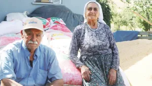 Yerli tohumlar Pertek’te hayat buluyor