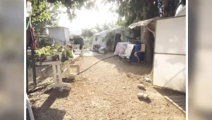 Her yemekte toz tadı