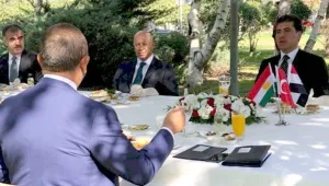 Kürdistan, Türk işgali ve KDP’nin telaşı