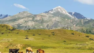 Andok, bir dağ olup…