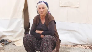 Bir kış bitti, biri geldi