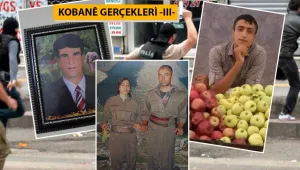 KOBANÊ GERÇEKLERİ-3: Dargeçit'te üç fidan...
