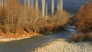 Zorê’de HES katliamı