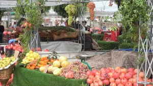 Kadınlar nar festivalinde