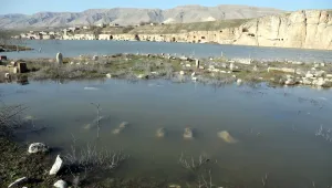 Herkes toprağa gömülür, ben suya