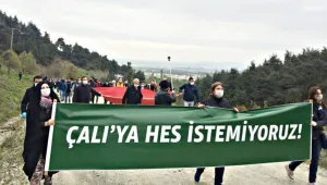 Salgın krizinde ekolojik yıkım fırsatı