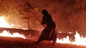 Botan’ın ekolojisi mahvediliyor