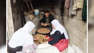 Ceviz çuvalına sığmayan hikâye