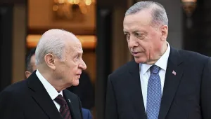 50+1 neyin nesi, kimin fesi?