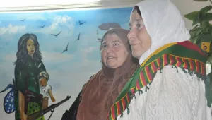 41 maddede aile devrimi