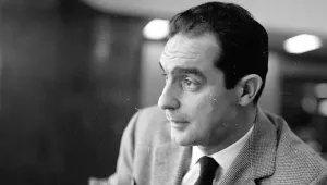 ‘Kalem Sincabı’ ve partizan: Italo Calvino