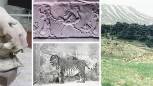 Bir zamanlar Mezopotamya faunası
