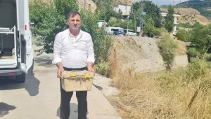 Kafamı defalarca araca vurdular