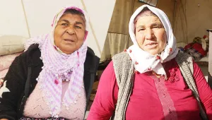 Bir konteyneri bile çok görüyorlar