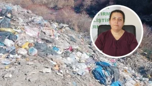 Botan Çayı tehdit altında