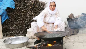 Kezwan ağaçları yok oluyor