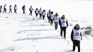 Demokratik ulusun parlamentarizmi