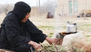 Zeytin dalı ateşinden yaşama