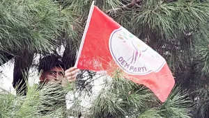 Rasyonele dönüş
