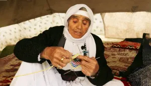 100 yaşında bir çınar