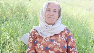 Amina şifacı kadınların izinde