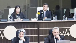 Wan'ı tamamen soymuşlar