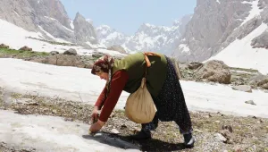 Cîlo Dağı’nın kadınları