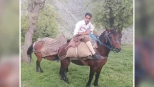 Katledip suya attılar