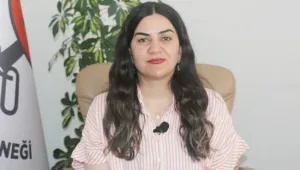 Tecavüzcü de şahitleri de üniformalı