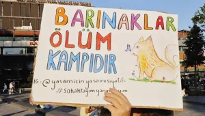 İktidar tüm canlıları yok etmek istiyor!