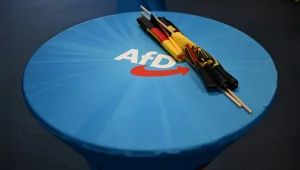 AP seçimleri ve AfD’nin yükselişi