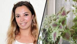 Bir çay çiçeği: Deniz Poyraz