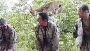 Dağların perileri